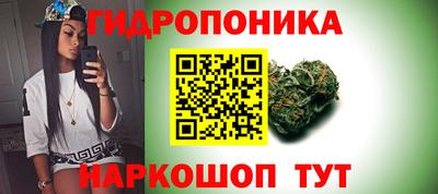 ECSTASY Лесосибирск
