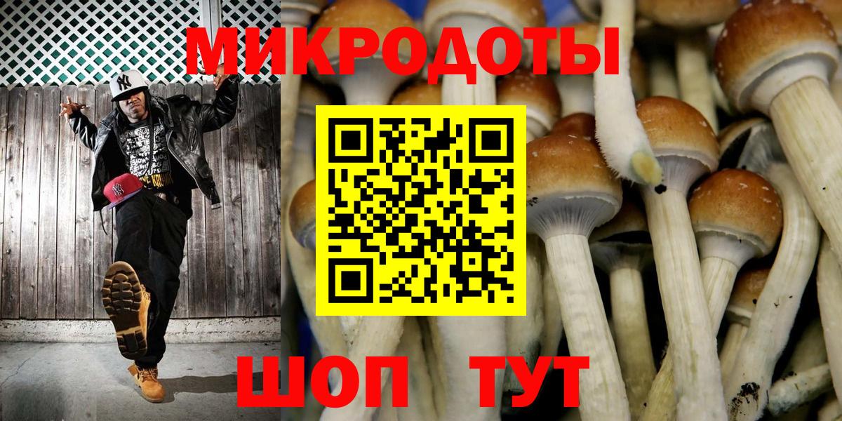 Псилоцибиновые грибы Psilocybe Воронеж
